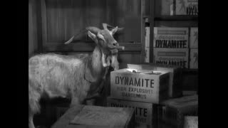 The Andy Griffith Show - S3E18 - The Loaded Goat