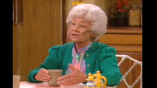 The Golden Girls - S2E20 - Whose Face is This, Anyway