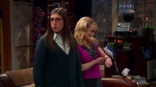 The Big Bang Theory - S5E9 - The Ornithophobia Diffusion