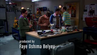 The Big Bang Theory - S5E2 - The Infestation Hypothesis