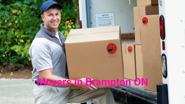 Trust Canadian Movers - Affordable Movers in Brampton, ON