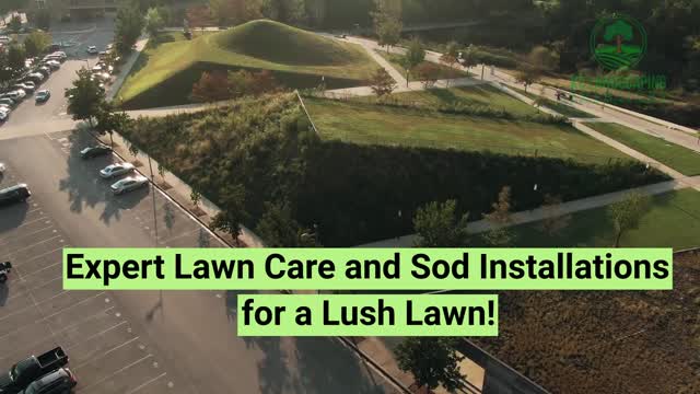 Landscaping and Lawn Care Maintenance Fort Lauderdale