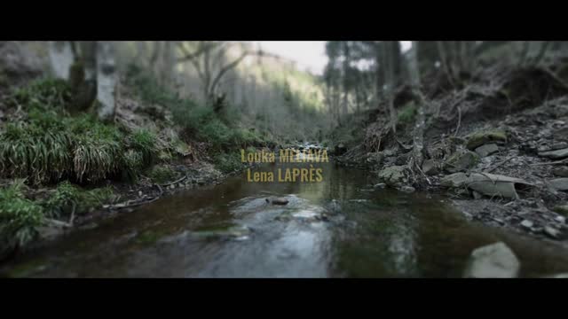 Schlitter.2023.FRENCH.1080p.WEB.H264-FW