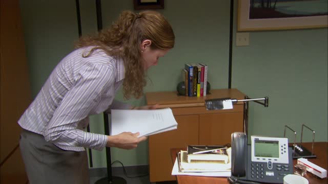 the.office.us.s02e07.french.1080p.web.h264-nero