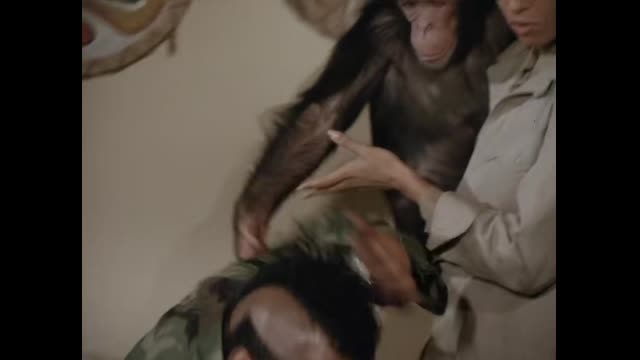 L.Agence.Tous.Risques.1983.S03e17.Les.Braconniers.French.Dvdrip.X264.Ac3-Romkent-17