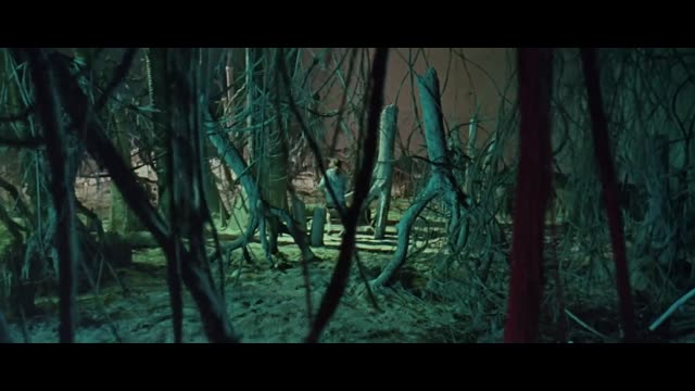 Doctor.Who.Et.Les.Daleks.1965.1080p.HDLIGHT.h264-BiBiSi