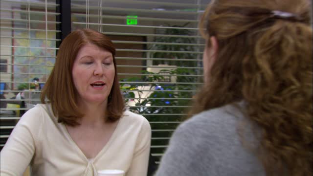 the.office.us.s02e15.french.1080p.web.h264-nero