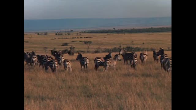 L.Agence.Tous.Risques.1983.S02e01.Poussière.De.Diamants.French.Dvdrip.X264.Ac3-Romkent-1