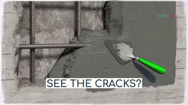 Comprehensive Concrete Damage Assessment