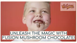 Fusion Mushroom Bar s