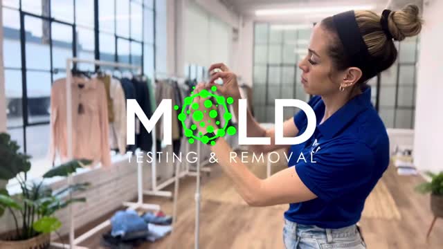 Mold inspection Los Angeles 424-369-7947