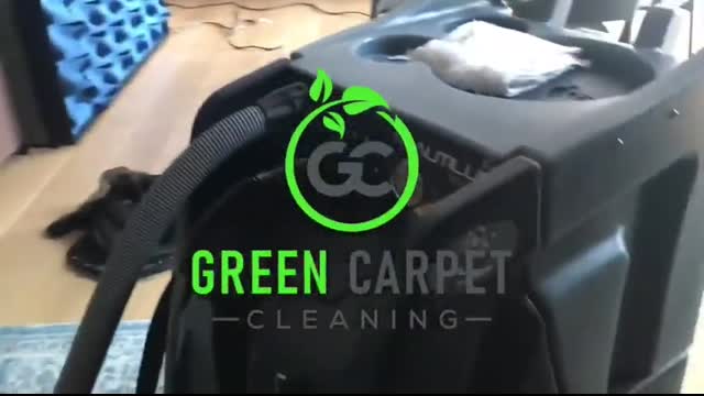 carpet cleaning