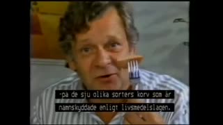 Tecknat Barn Svenska:Anslagstavlan (1980) VHSRIPPEN (Svenska) Hela Kortfilmen (4D)