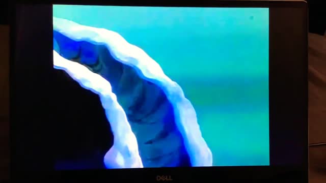 Tecknat Barn Svenska:Den Lilla Sjöjungfrun TV Serie (1992-1994) DVDRIPPEN (Engelska) Trailer (HD)