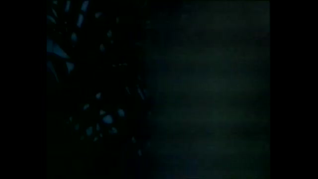 Tecknat Barn Svenska:Videotajm Med Trazan och Banarne (1982) VHSRIPPEN (Svenska) Opening Scene (4K)