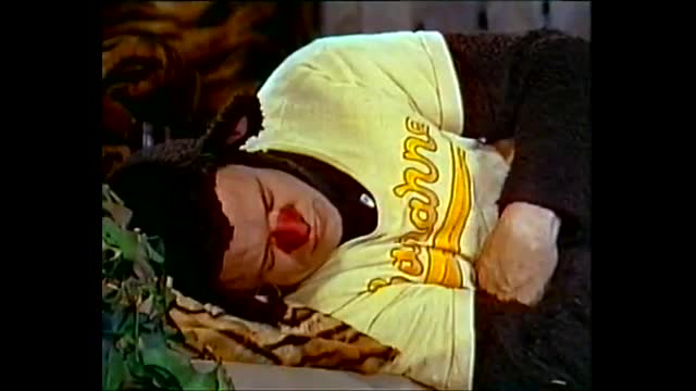 Tecknat Barn Svenska:Videotajm Med Trazan och Banarne (1982) VHSRIPPEN (Svenska) Banarneshostaren (4K)