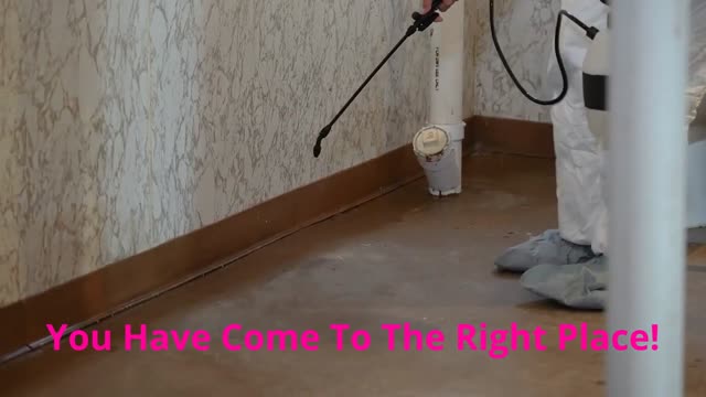 Ecola Termite Control in Los Angeles, CA