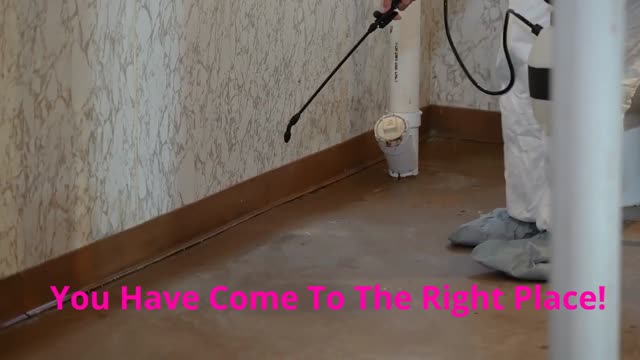 Ecola Termite - Trusted Exterminator in Los Angeles, CA