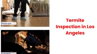 Ecola Termite Inspection in Los Angeles _ (818) 920-7301