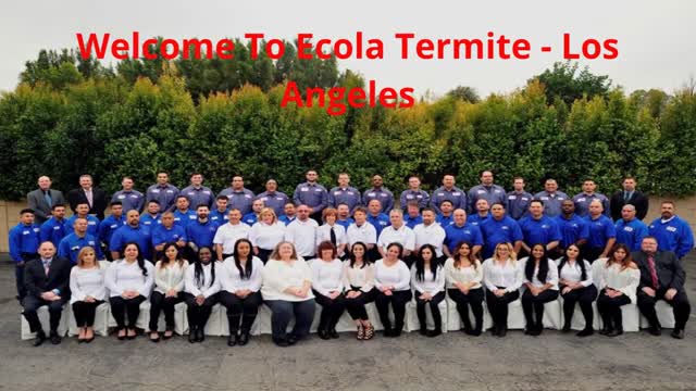 Ecola Termite - Mother Approved Exterminator in Los Angeles, CA