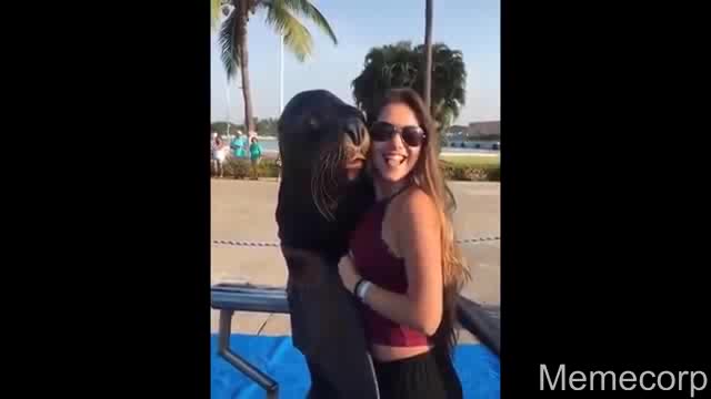 10videoplayback[Trim]