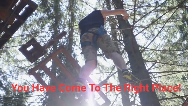 Team Gale Tree Service - Affordable Tree Company in Riverside, NJ