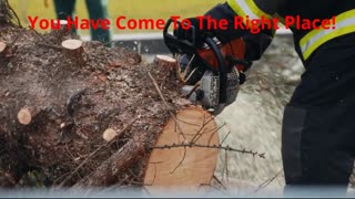 Team Gale Tree Removal Service in Delran, NJ | 08075