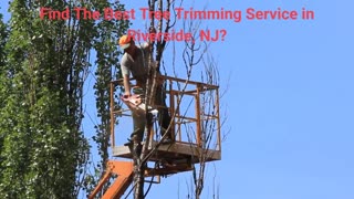 Title Team Gale Tree Trimming Service in Riverside, NJ | 08075