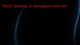 Team Gale Tree Service - Best Tree Removal in Cinnaminson, NJ