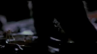 Tecknat Barn Svenska:Napoleon - Den lilla modiga valpen (1995) DVDRIPPEN (Engelska) Hela Filmen (4D)