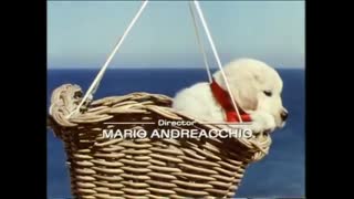 Tecknat Barn Svenska:Napoleon - den modiga lilla valpen (1995) VHSRIPPEN (Svenska) Hela Filmen (4K)