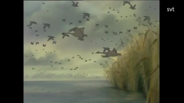 Tecknat Barn Svenska:Den Första Snön (1998 SVT1 Kanalen AB) DVDRIPPEN (Svenska) Hela Filmen (4D)