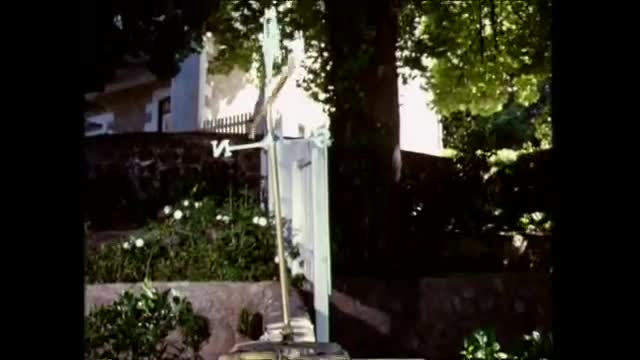 Tecknat Barn Svenska:Napoleon - den modiga lilla valpen (1995) VHSRIPPEN (Svenska) Hela Filmen (HD)