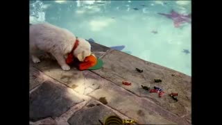 Tecknat Barn Svenska:Napoleon - den modiga lilla valpen (1995) VHSRIPPEN (Svenska) Hela Filmen (HD)