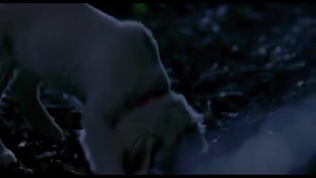 Tecknat Barn Svenska:Napoleon - Den lilla modiga valpen (1995) DVDRIPPEN (Engelska) Hela Filmen (3D)