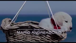 Tecknat Barn Svenska:Napoleon - Den lilla modiga valpen (1995) DVDRIPPEN (Engelska) Hela Filmen (3D)