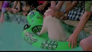 Tecknat Barn Svenska:Napoleon - Den lilla modiga valpen (1995) DVDRIPPEN (Engelska) Hela Filmen (HD)