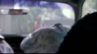 3 - Beethoven 3 Uma Família Em Apuros (2000)