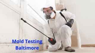 Charm City Mold Inspections – Affordable Mold Testing in Baltimore, MD