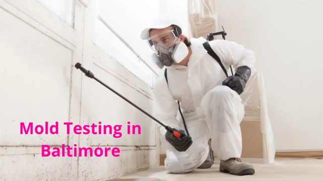 Charm City Mold Inspections - Certified Mold Testing in Baltimore, MD