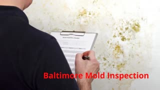 Call @ (443) 635-7497 | Charm City Mold Inspection in Baltimore, MD