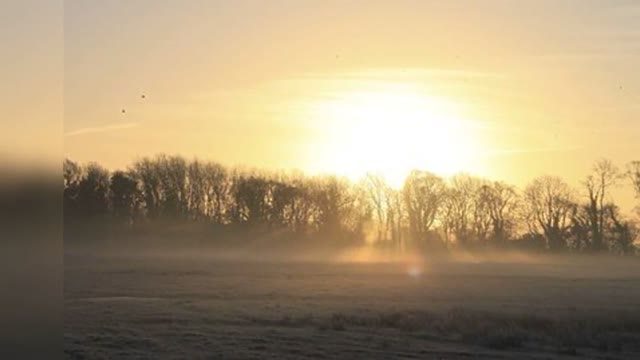 Alone Always The Same