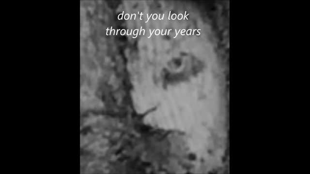 Don't You Read Your Tweets