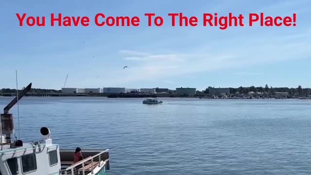 Fury - #1 Boat Tours in St Augustine, FL