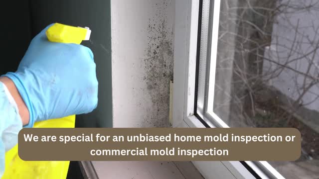 Mold testing Rancho Cucamonga