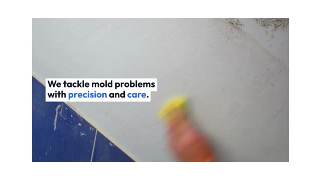 Mold Testing & Mold Removal
