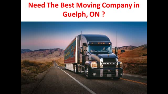 Ecoway Movers : Affordable Moving Company in Guelph You Can Actually Trust