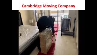 Ecoway Movers : Affordable Moving Company in Cambridge You Can Actually Trust