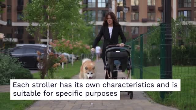 Practical Baby Strollers Guide