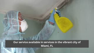Mold inspection and removal service Miami